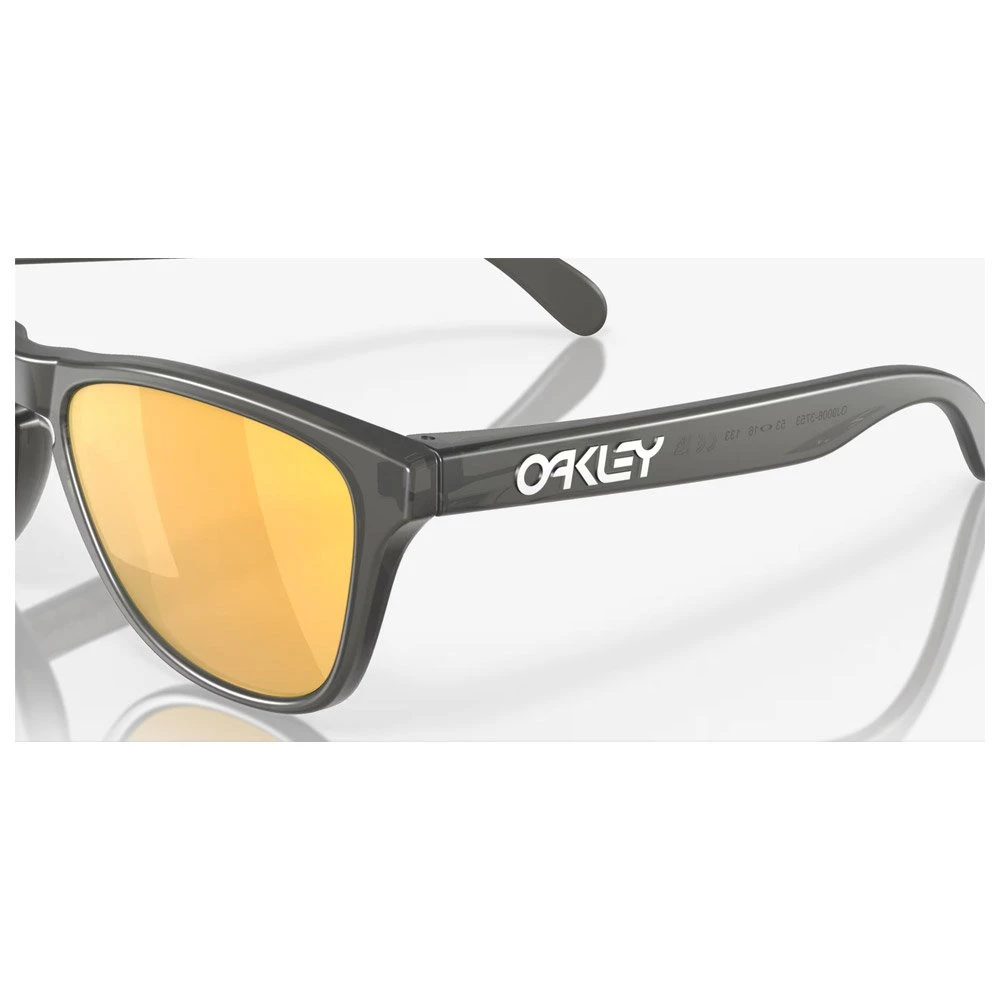 Gafas Oakley Frogskins Xs Matte Grey Smoke Prizm 24k Polarized 6 Gafas Oakley Frogskins Xs Matte Grey Smoke Prizm 24k Polarized - Imagen 6